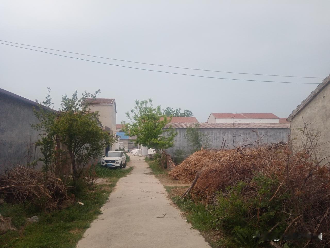 今日二月二十九，农历二月的最后一天“晦日”，寓意着除晦迎新。
农村有经验的老人说