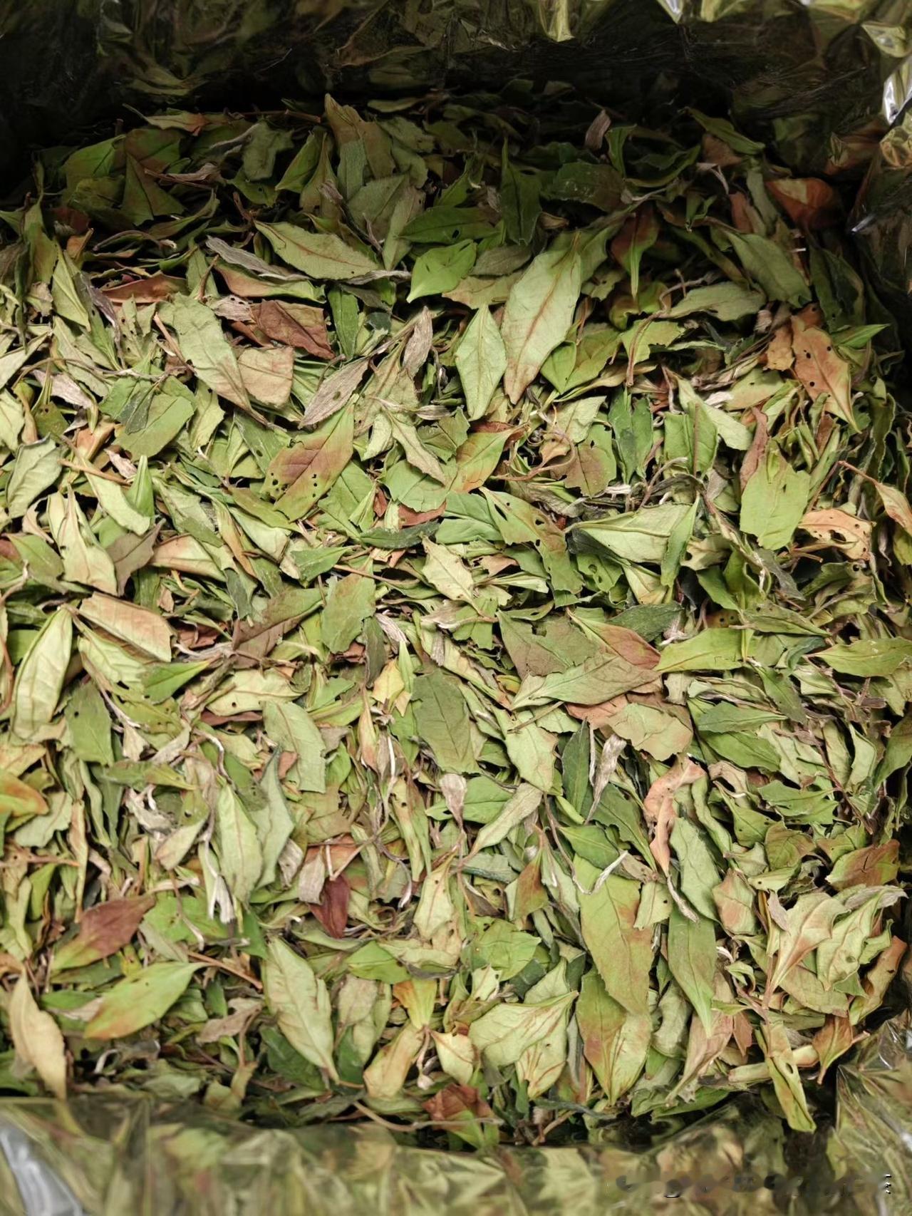 比银针珍贵的纯日晒寿眉你喝过吗？
福鼎白茶