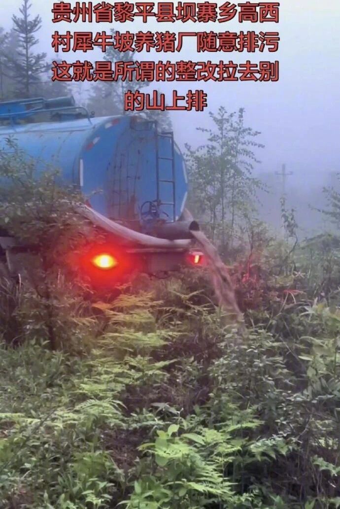 #贵州黎平辟谣养猪场再现偷排#【贵州黎平辟谣“养猪场再现偷排”：实系给牧草基地淌