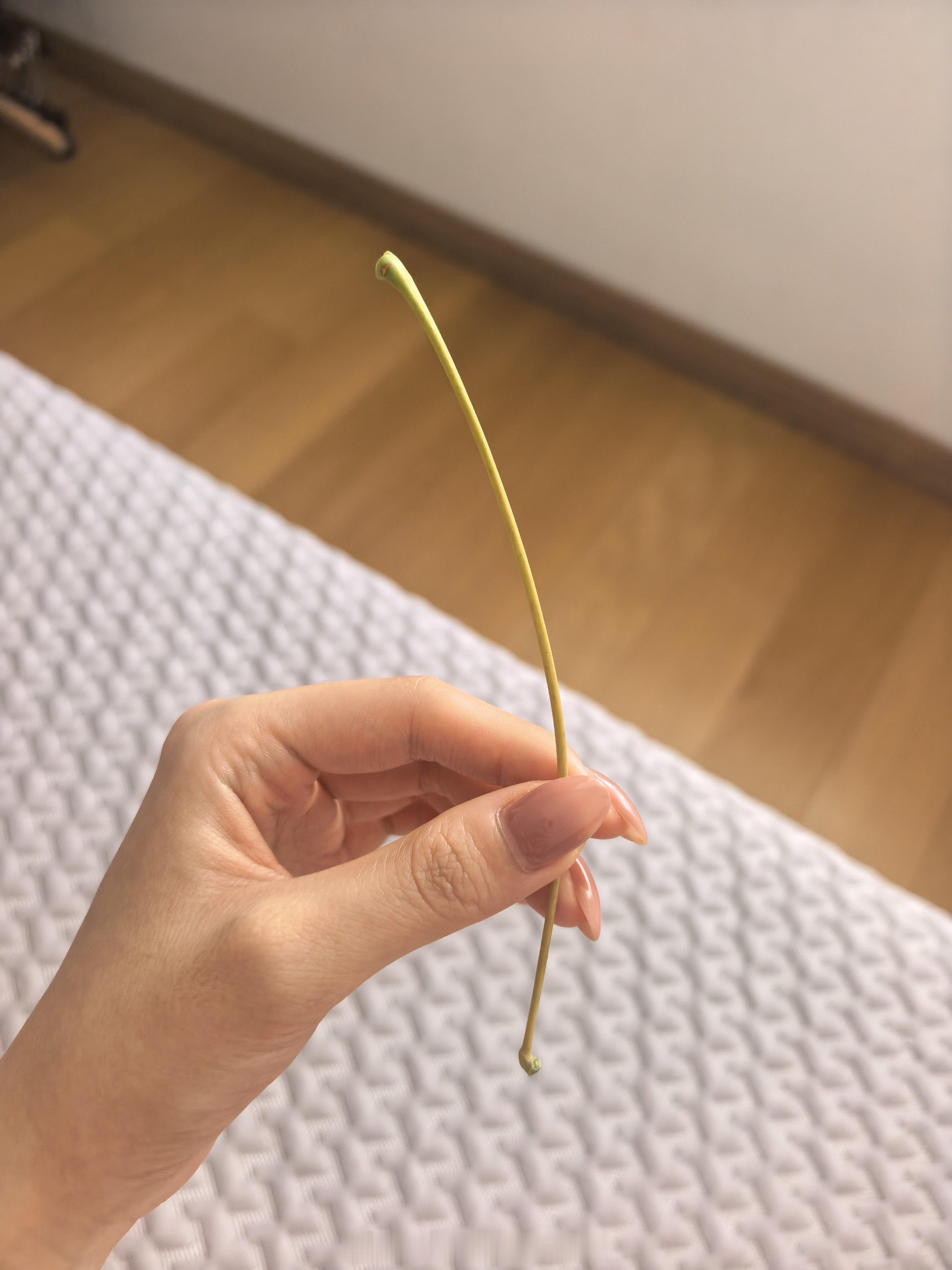 起床掀开被窝：咪进贡的树枝子一根 