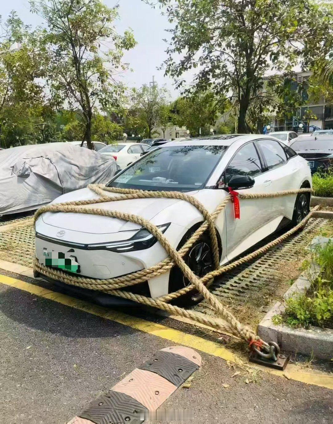 桦加沙现在一切准备就绪了，就怕台风不来，又怕它乱来哈哈哈[泪奔] ​​​