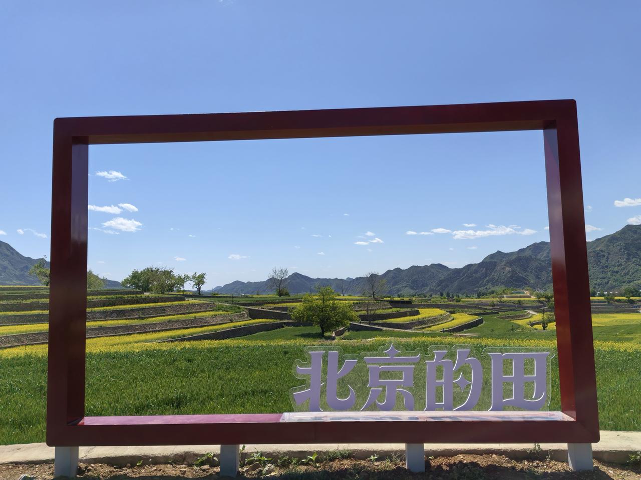 第二张千亩梯田，我今天去看了挺好的。