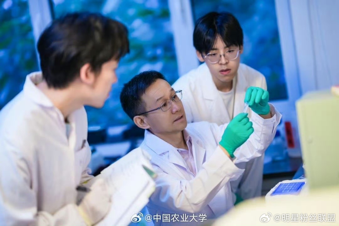 假如樊长玉在中国农大学养猪 好梦幻的联动！看了农大的科普才知道，原来我们的猪猪畜