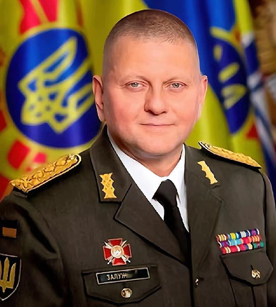 “北溪”背后的大水鱼，终于被揪出来了！德国查明，扎卢日内大将，竟然是“北溪”真正