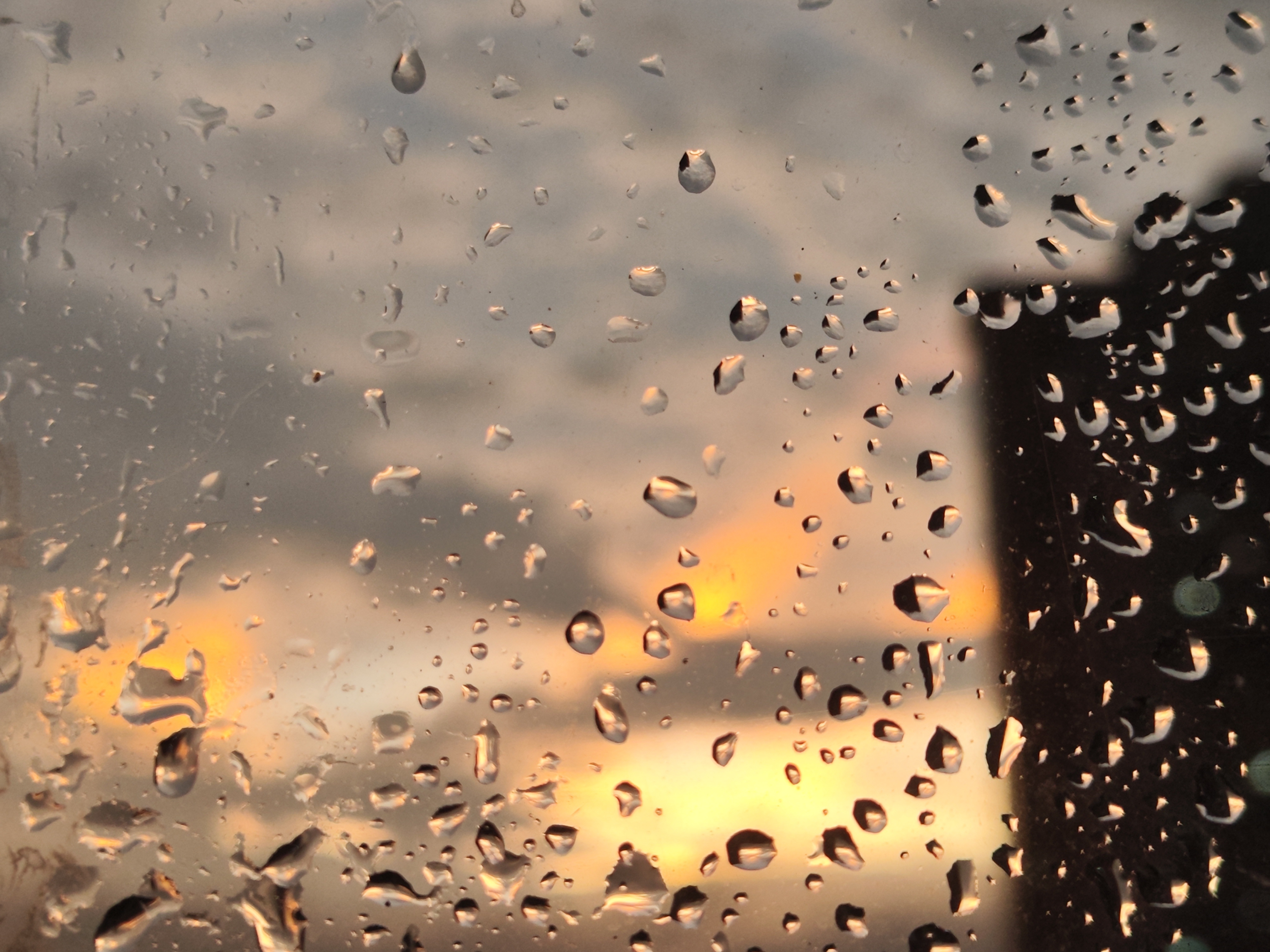广东多地全市停课受台风影响，广东多个区域宣布全市停课，狂风暴雨席卷各地，风雨势头