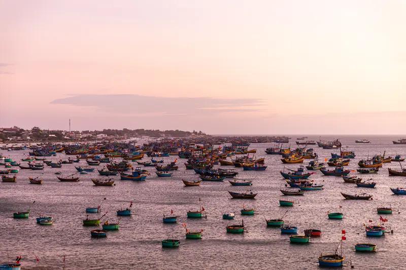 咱们的邻国越南过农历新年时，生肖体系和咱们有差异。中国、日本、韩国等过兔年，越南