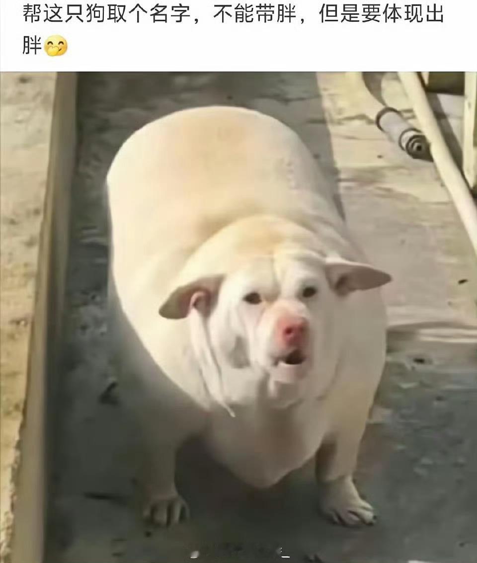 在线急等取名字 ​​​