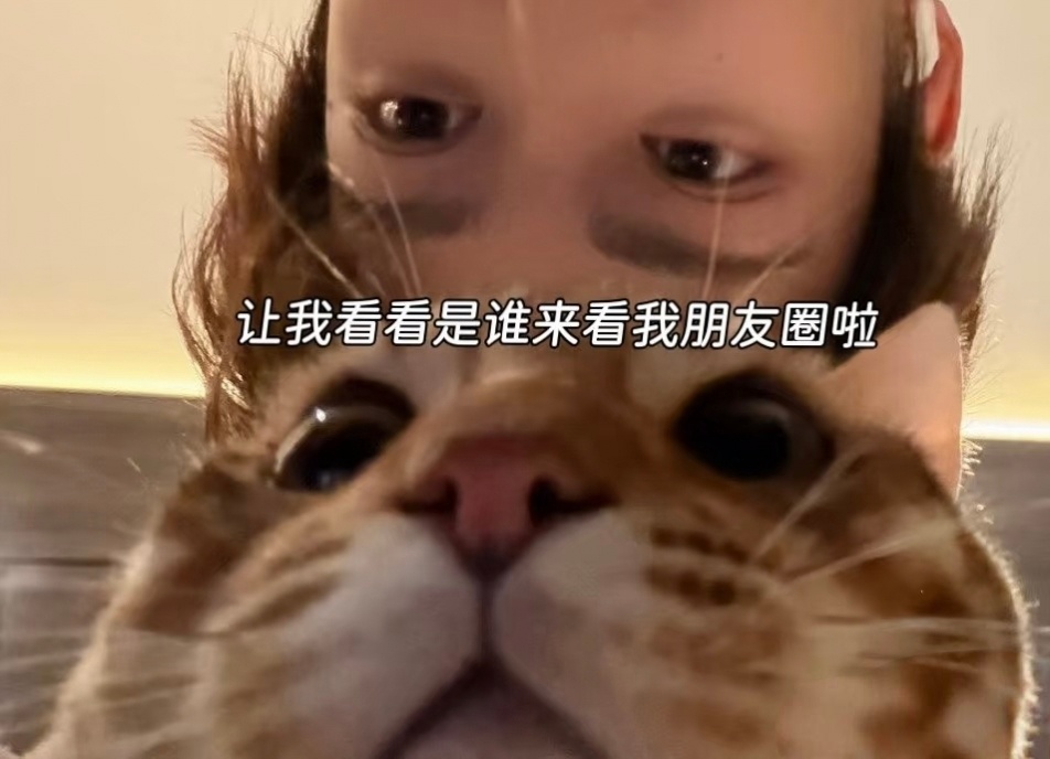 拿走，不用客气！ 梓渝手机壳原图