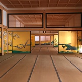 采梅品品体育