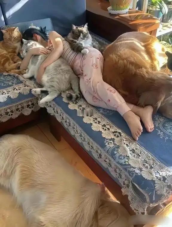谁羡慕了？女子午睡，一群猫猫狗狗紧紧挨着她一起休息。
温馨归温馨，这么多宠物挤在