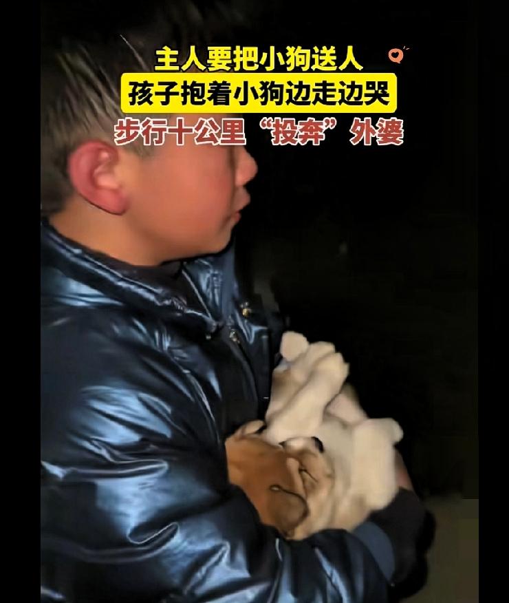 10岁男孩连夜抱小狗走十几公里山路，一边哭一边念叨要护住它，这一幕真的戳中人心最