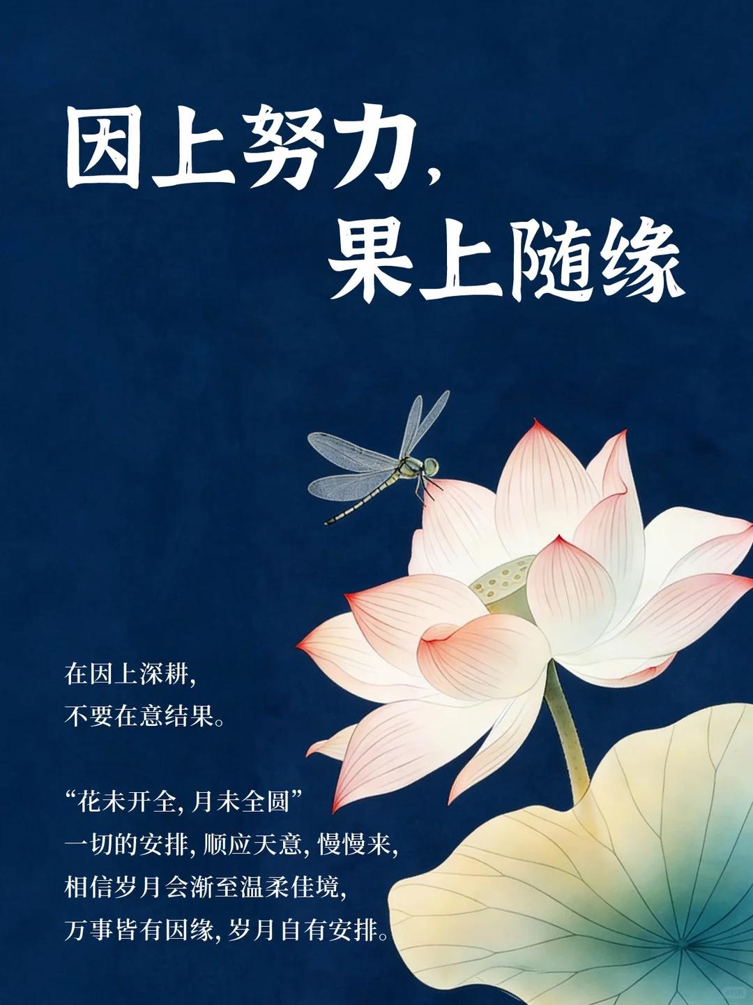 春播一粒粟，秋收万颗子，种是因，收是果；
滥伐山林，山洪频发，涵养植被是因，风调