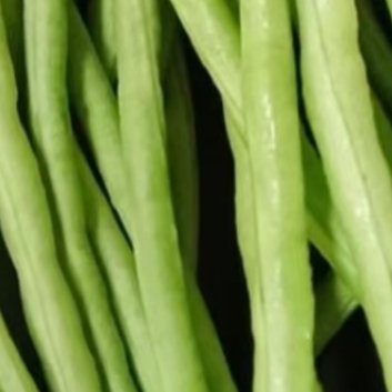 0000豆角的种植方法一、选地与整地：选择土层深厚、肥沃疏松、排水良好的土壤，播