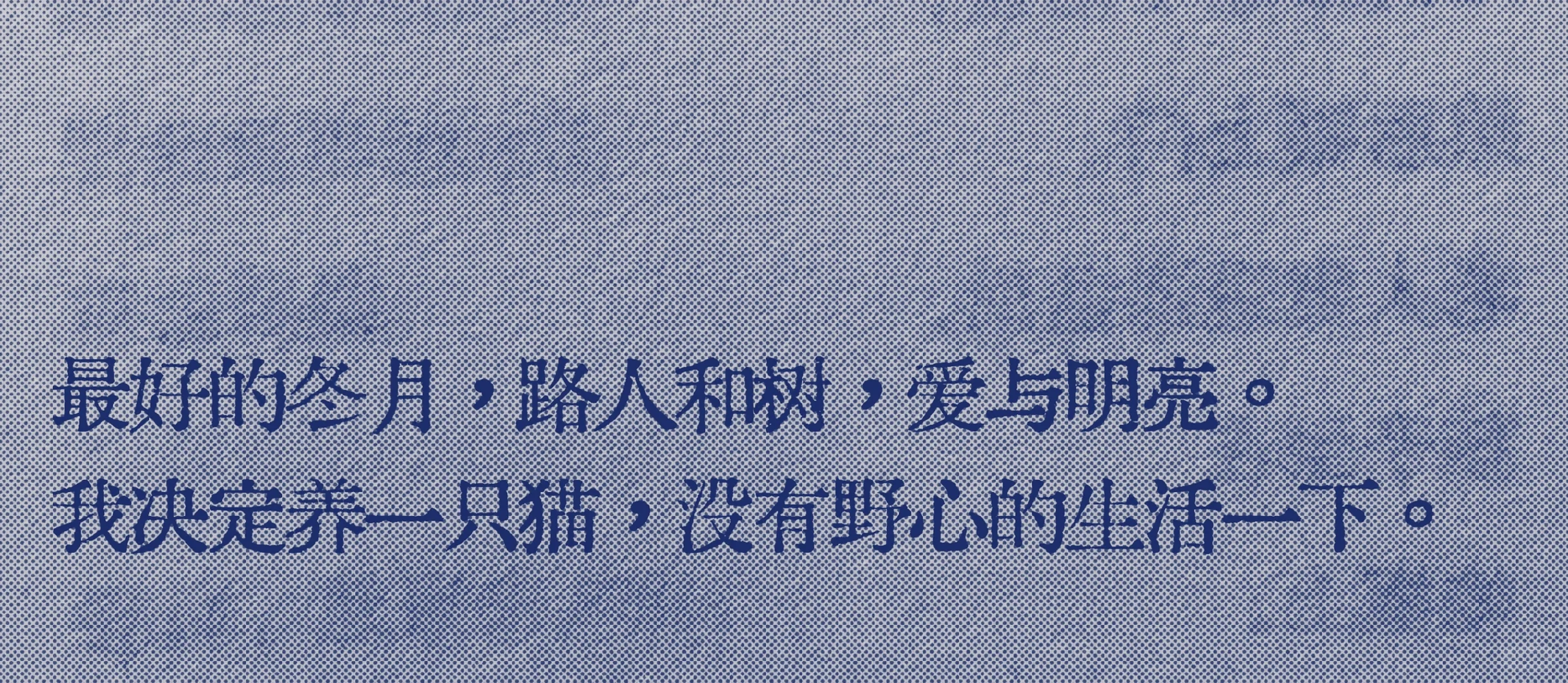 “爱是小猫以及没有野心的生活”天呐好会写