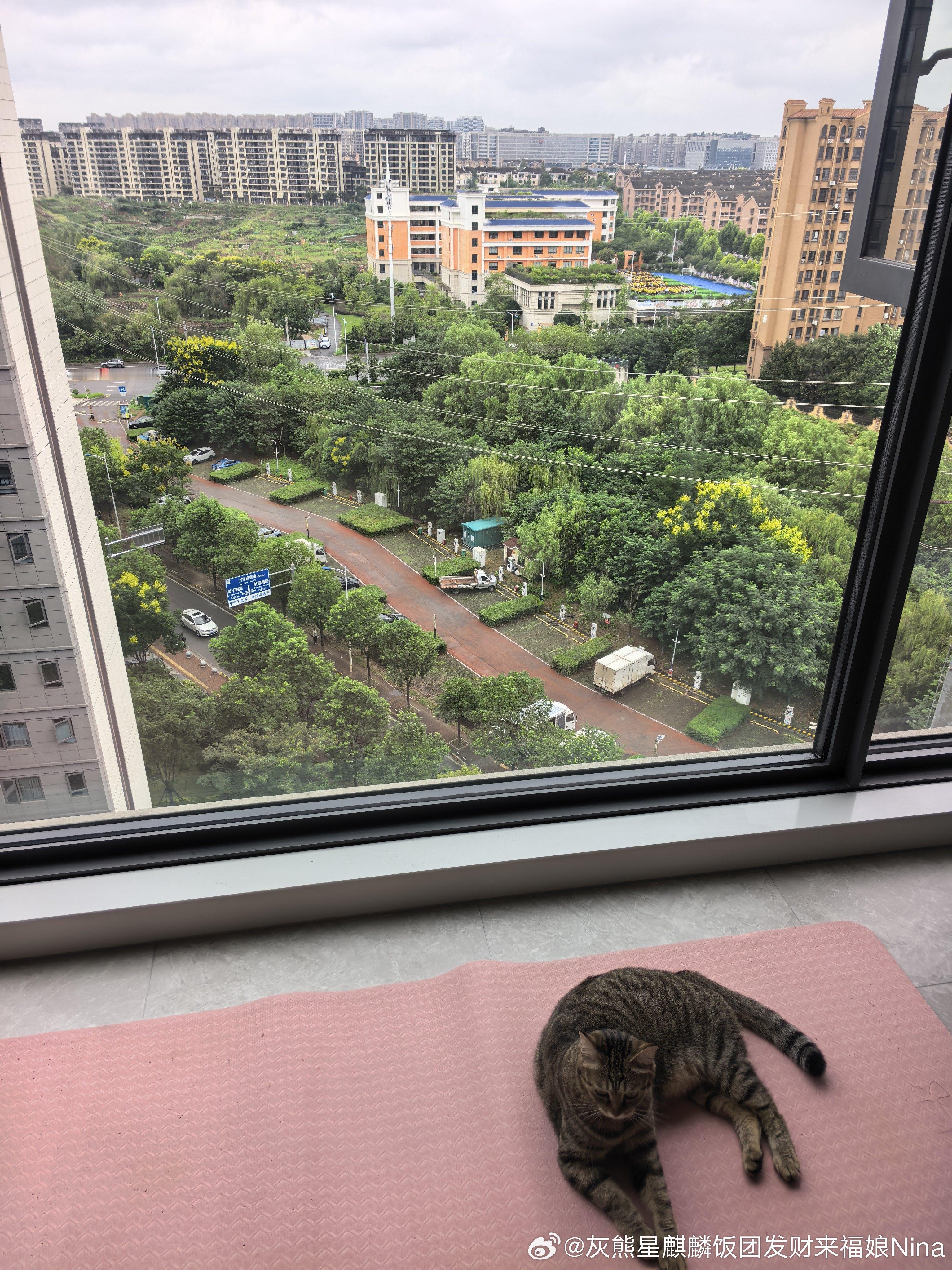 客厅的窗口可以看到另一个小学[嘻嘻][嘻嘻][嘻嘻] ​​​