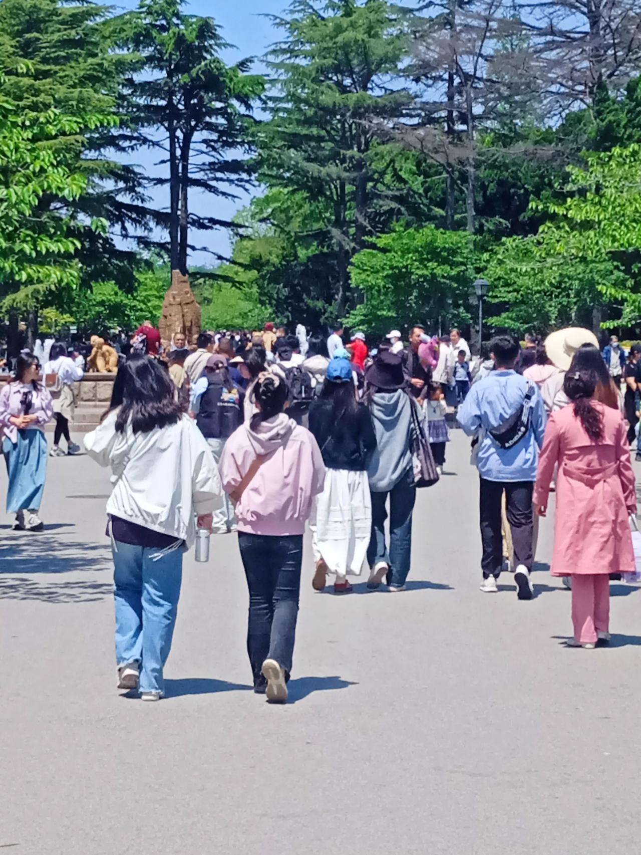 五一节逛逛公园和海边去

在家闲了两天没出门，今是五一节，不管景区游人多不多了，