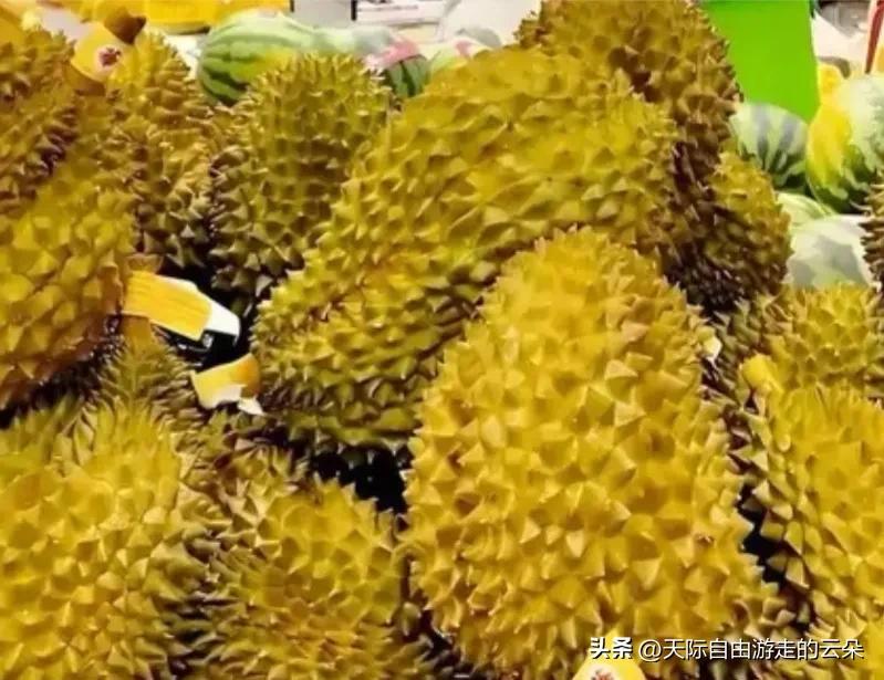 榴莲自由真的来了！金枕跌破19.9元，“水果之王”为何跌下神坛？

朋友们，好消