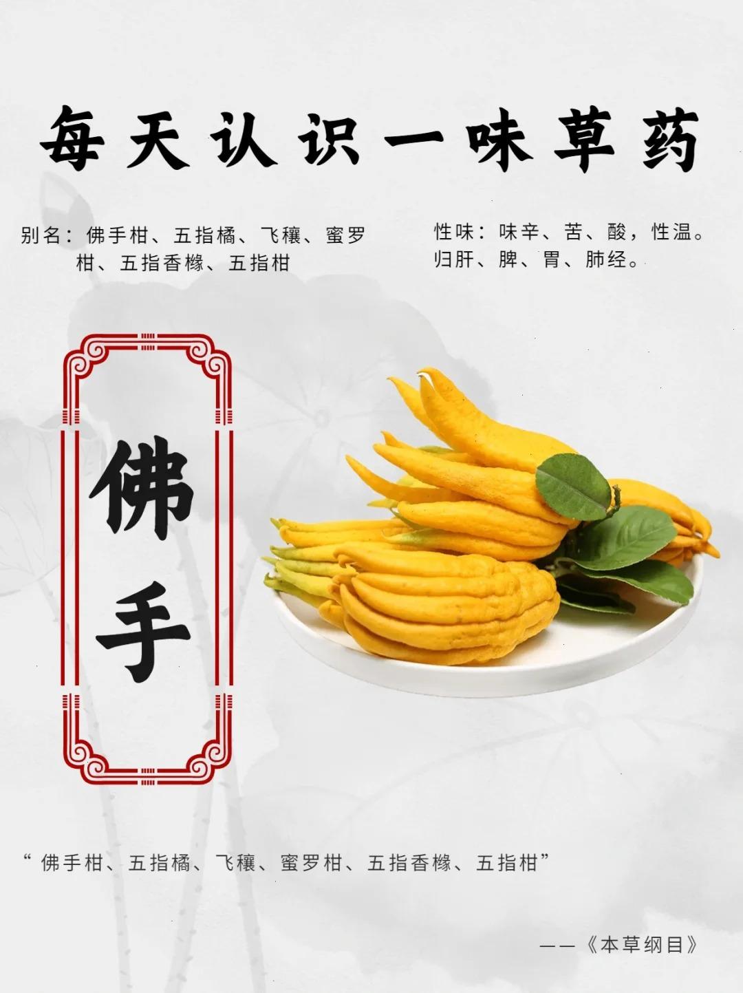 每天认识一味中草药—佛手

佛手の小档案 
🔍别名：佛手柑、五指柑、福寿柑 