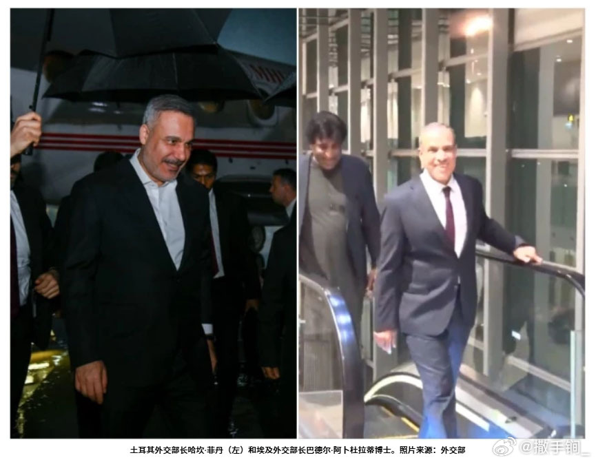 埃及和土耳其外长于周六（28日）抵达伊斯兰堡，沙特外交大臣也即将抵达，他们将与巴