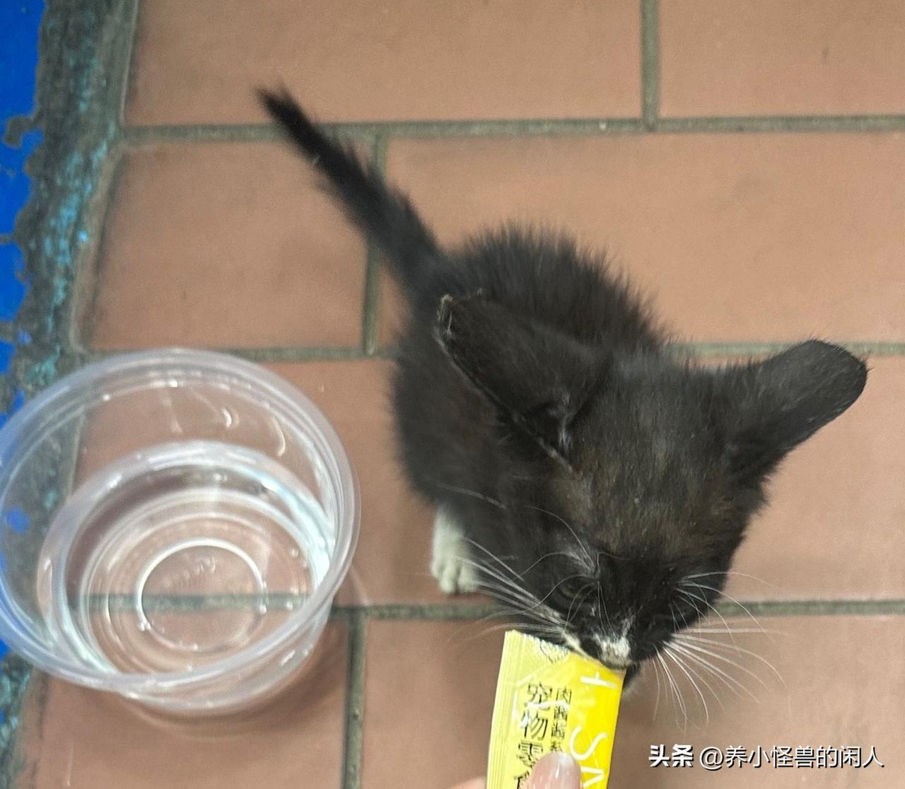 网贷能把你毁成什么样？

亲自经历的三年经验，都是一场身心俱疲的较量。

第一，