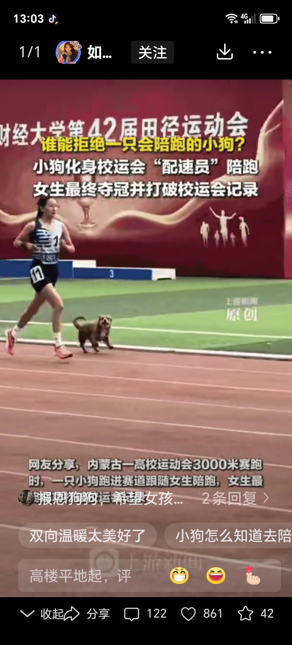 太暖心了！小狗闯入赛场陪跑，助力女大学生夺冠破纪录
 
太暖心了，内蒙古，一女大