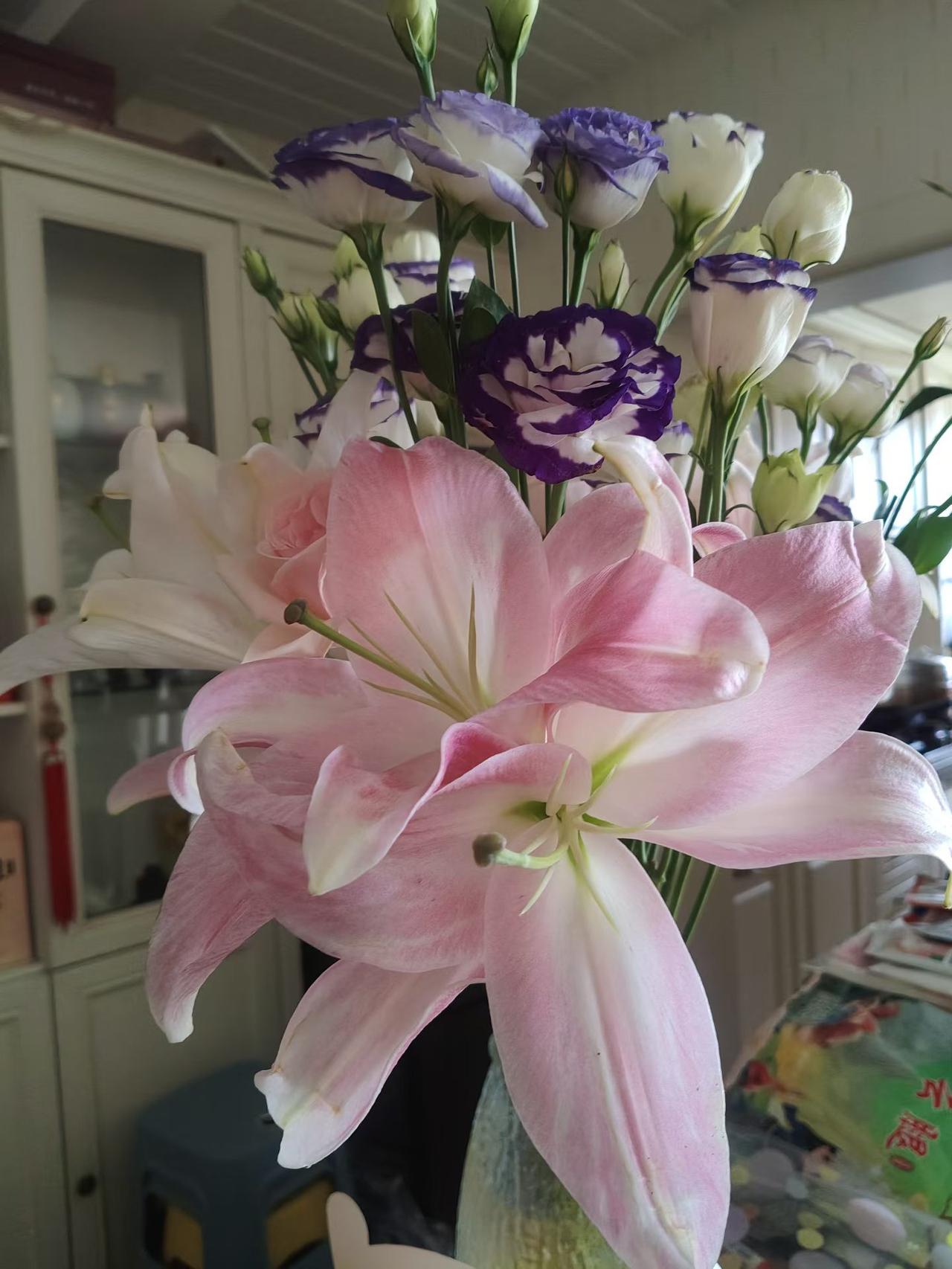漂亮的花花