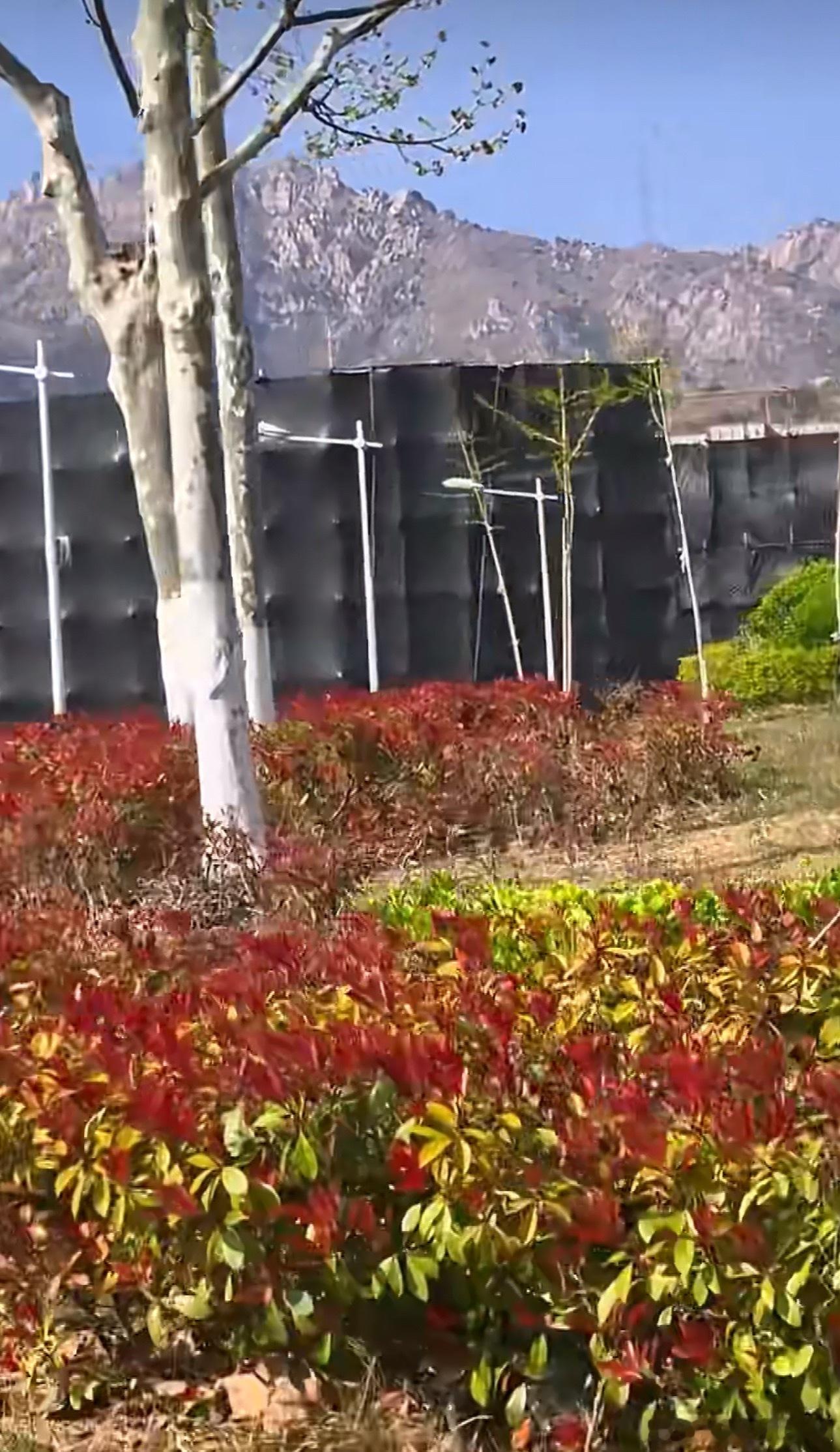 《十日终焉》 外景都没得看，全是黑布