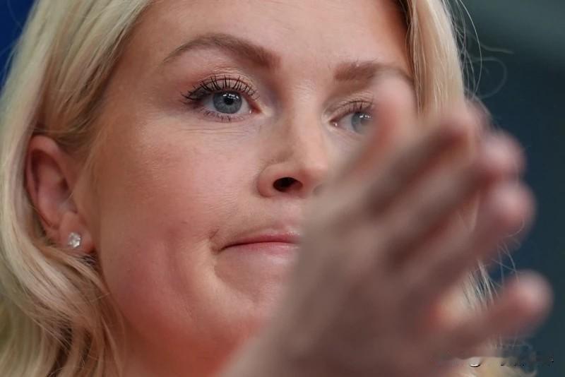 【白宫简报会：特朗普与他的国家安全团队讨论了伊朗的提议】
华盛顿时间2026年4