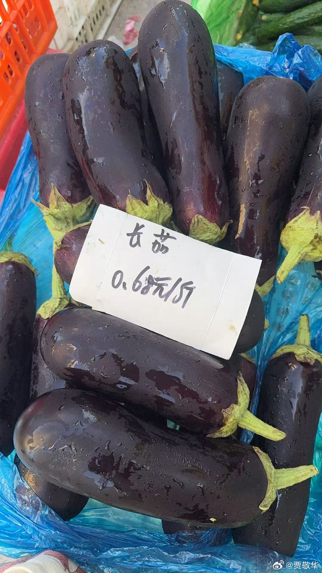 邻居刚才给我显摆，说在一家超市买到了6毛8的新鲜茄子。我说，这茄子至少摘了10天
