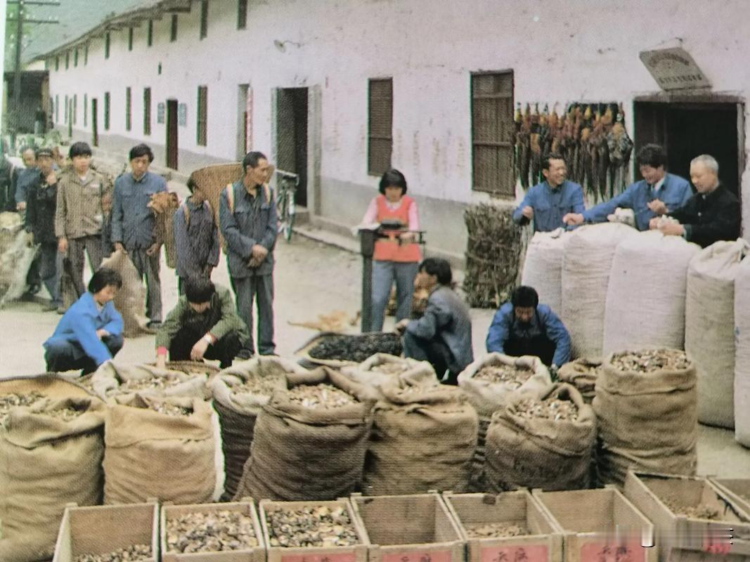 广通：茶马古道上的千年茶香，云南最早的“茶叶旱码头”

在禄丰市广通镇的老街上，