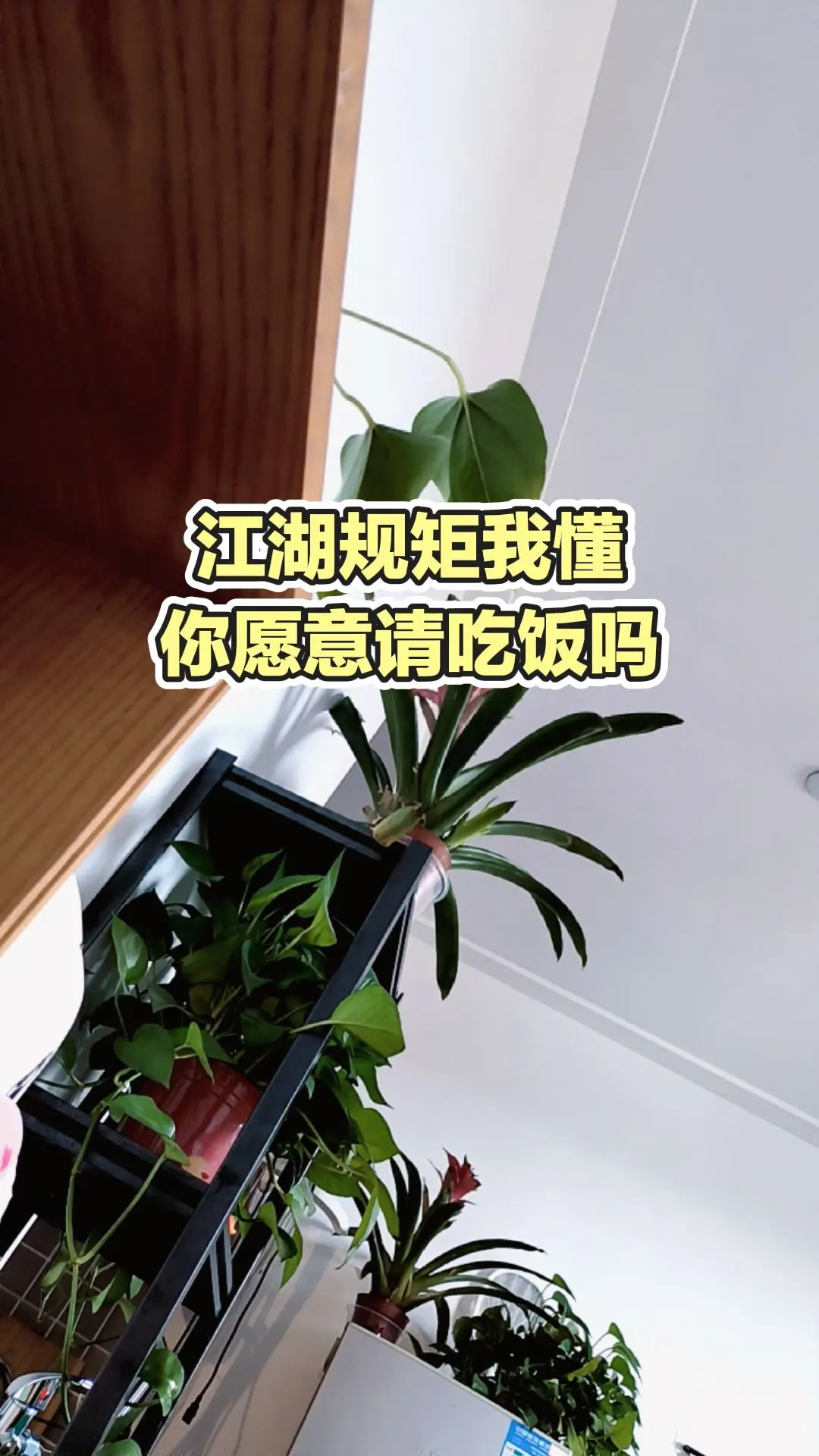 每日分享