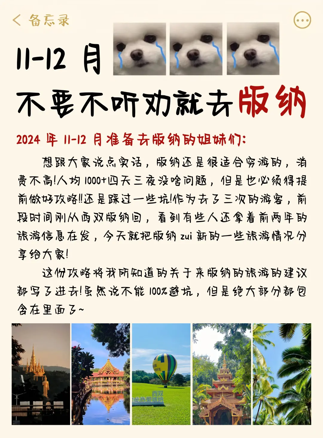 11-12月准备来版纳旅游的姐妹们注意了❗️