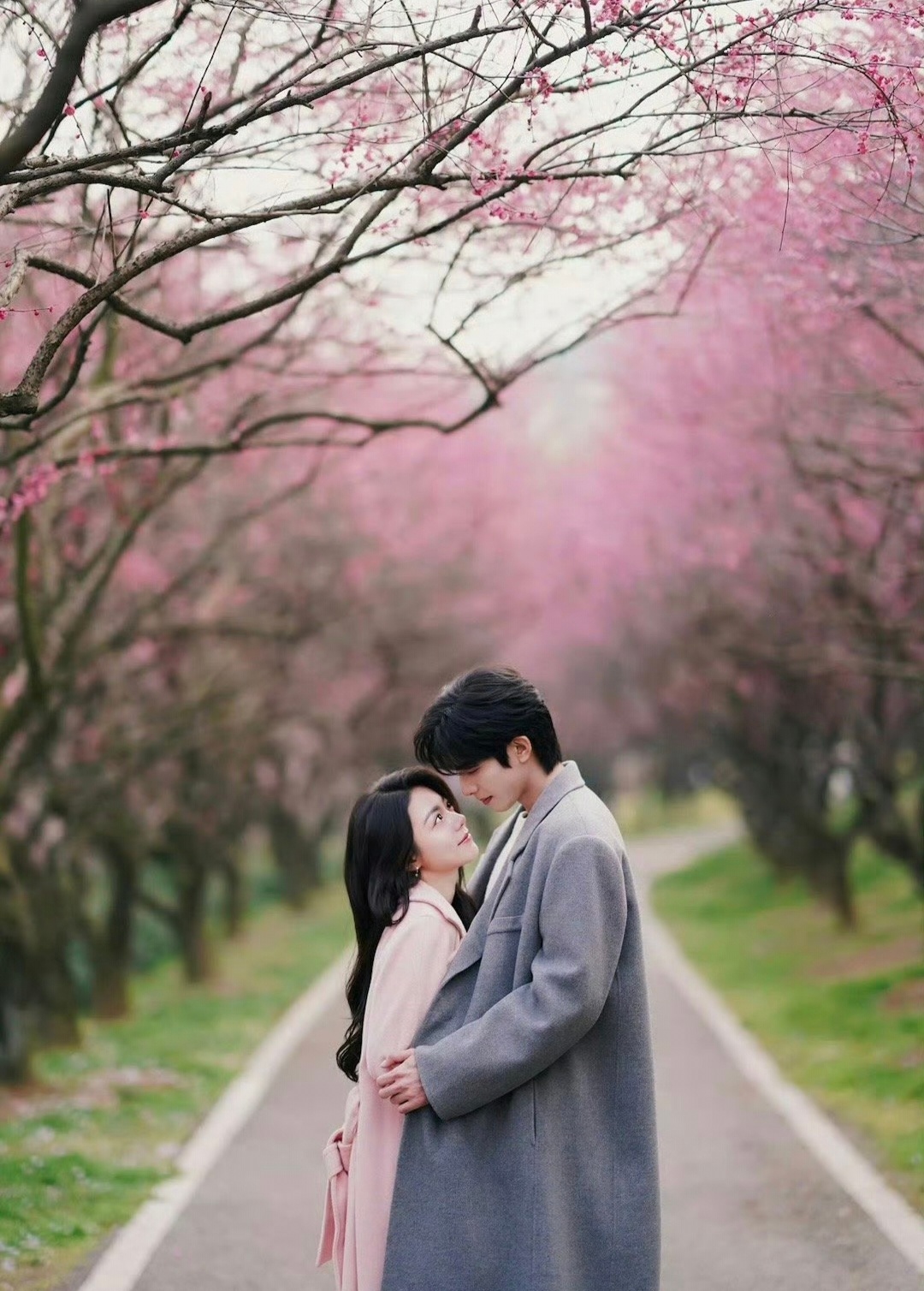 骄阳似我太甜了 骄阳似我的最新剧情也太甜了吧，简直甜到齁，还那么唯美。我好爱我的