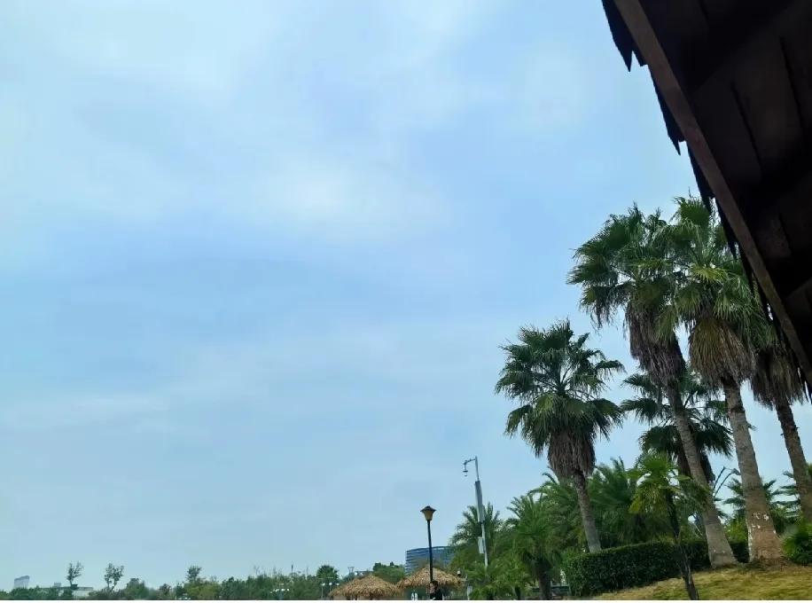 人到中年，好像自动切换了“低欲模式”不爱凑社交的热闹，就想安安静静待着；以前追着