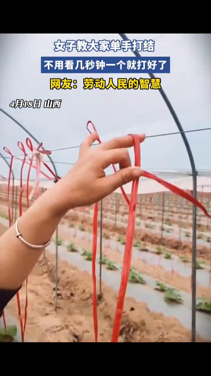 女子教大家单手打结，不用看几秒钟一个就打好了。
网友：劳动人民的智慧。
4月18
