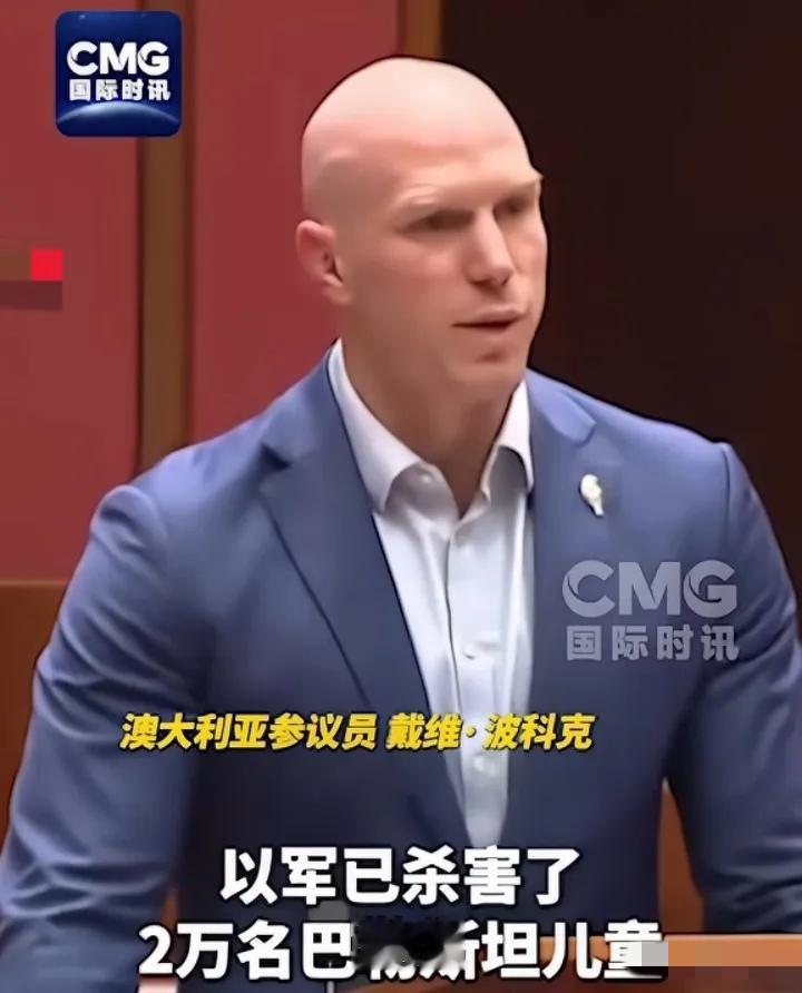 地球人都知道以军的残暴不仁和毫无人性，但是，整个西方的国家，装聋作哑，装瞎子，没