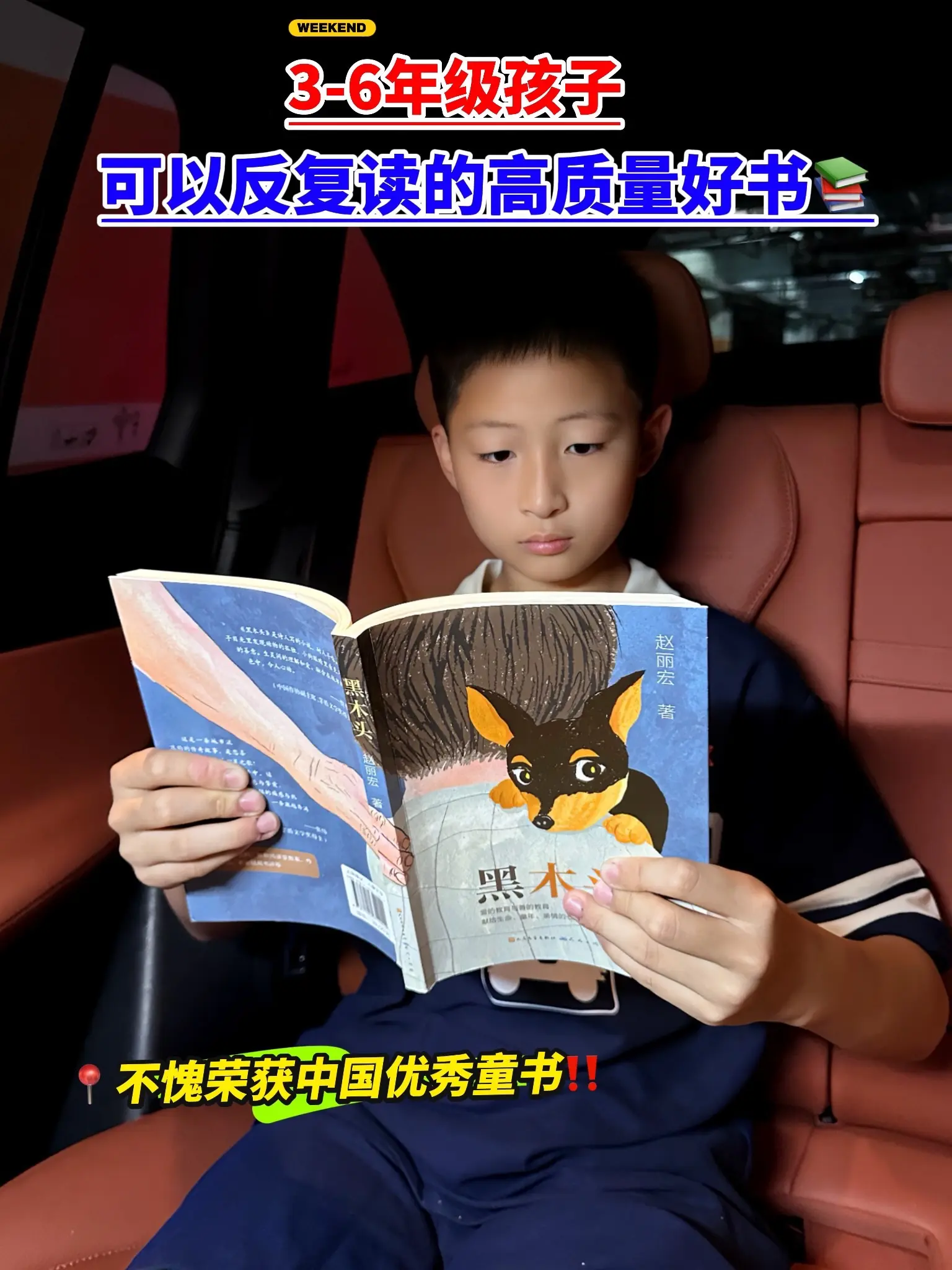 🔥赵丽宏老师荣获中国优秀童书的代表作！☘️故事简介：《黑木头》讲述了...