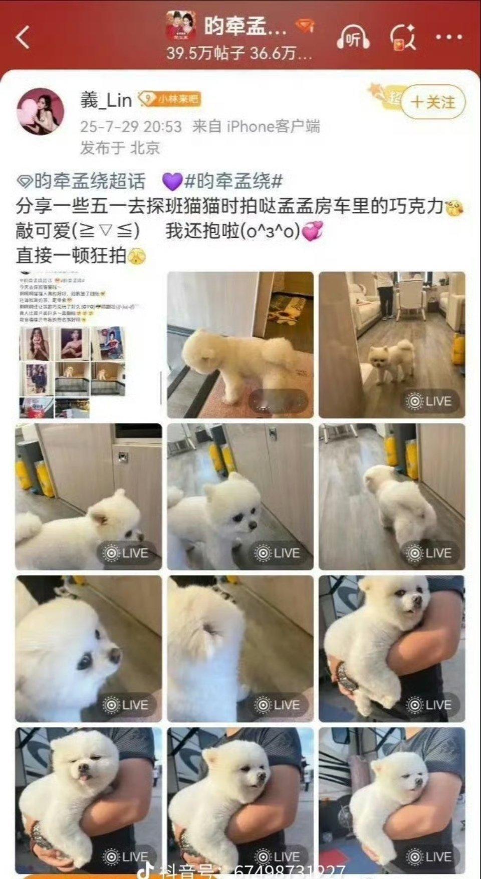 孟子义经纪人道歉多大点事儿，正常人只会觉得小题大做。估计是一些唯粉看昀牵孟绕不顺