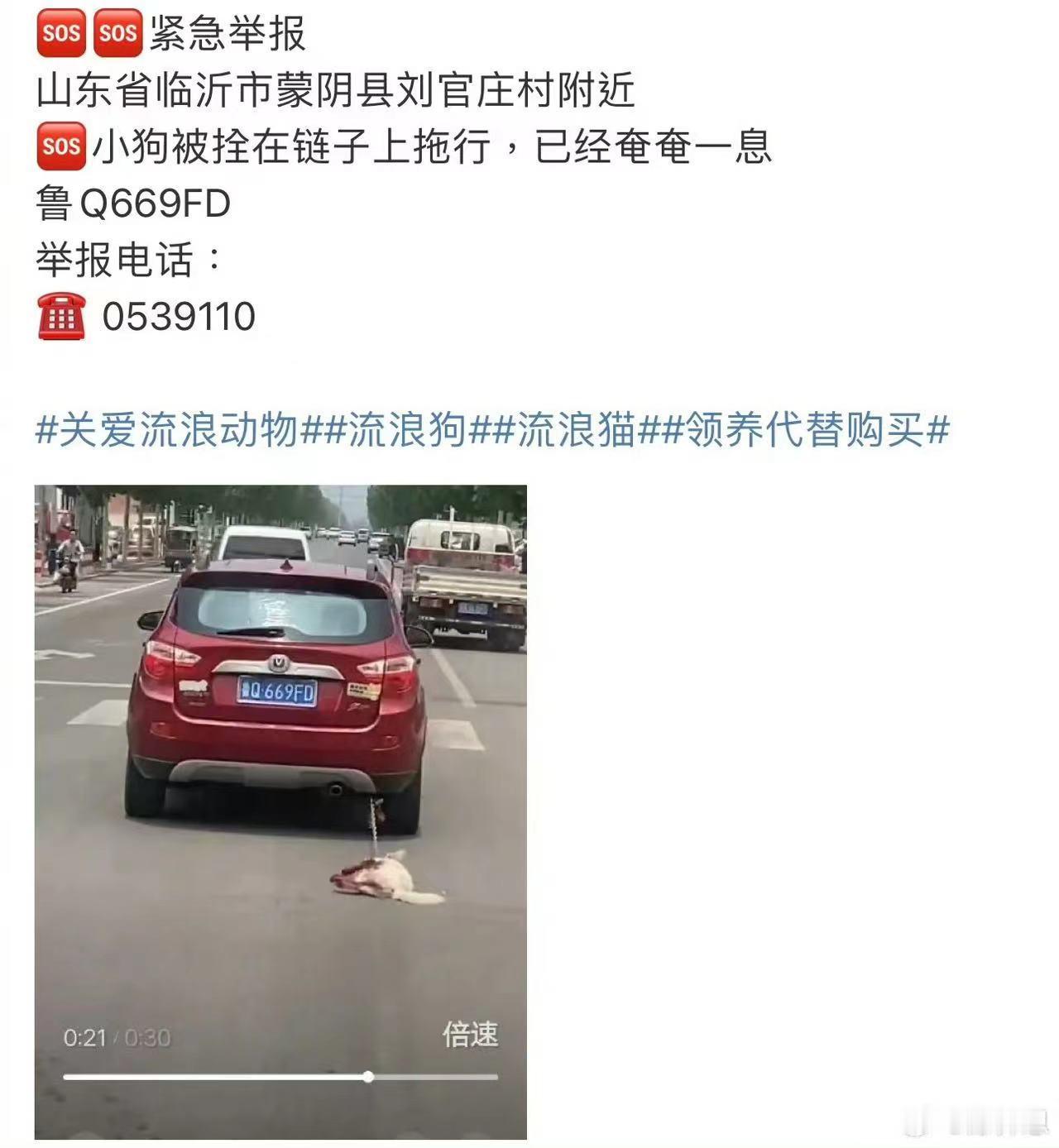 #陈乔恩发文希望有人能救狗##陈乔恩为狗求救#陈乔恩为狗求救，哇塞哇塞 ​​​