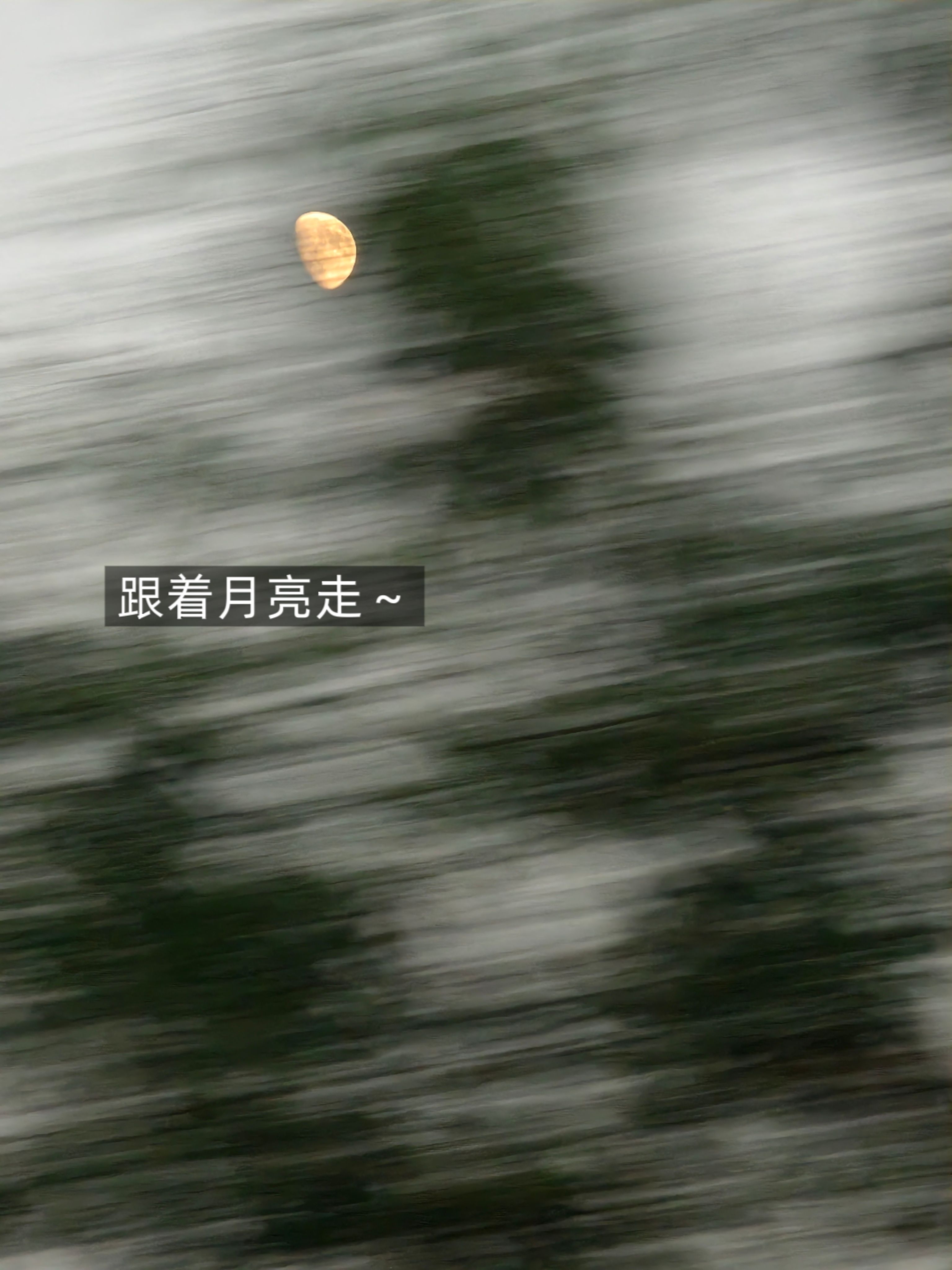 分享点最近 清清相册[手指比心] ​​​