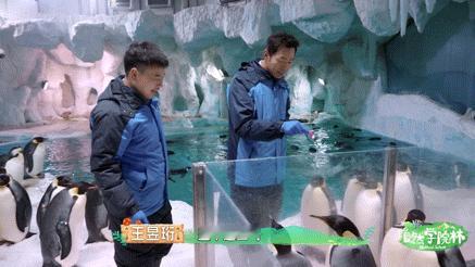 #自然学院林来到了水哥的统治区##德华带娃天花板来了#水哥大型圈粉现场又来了，这