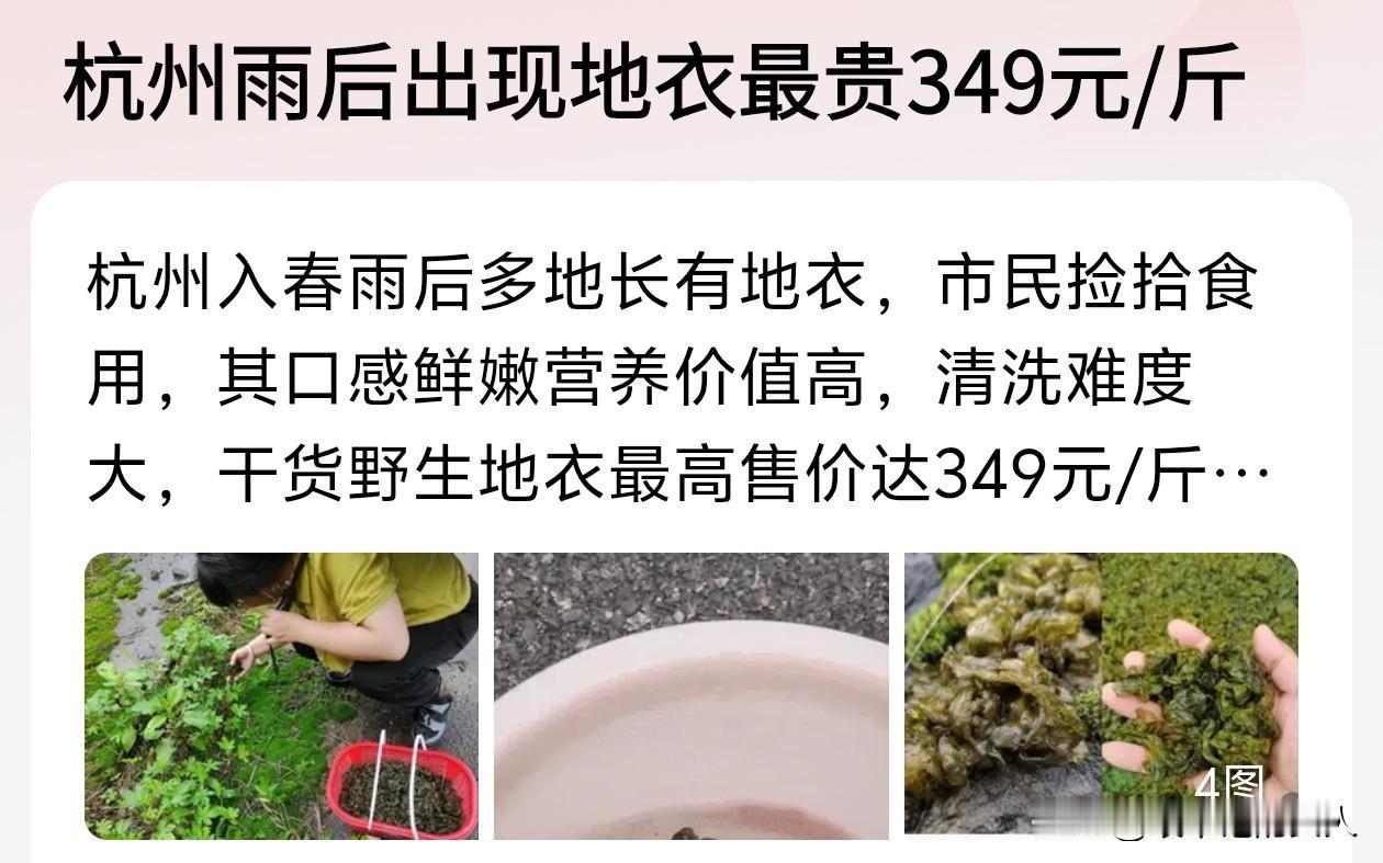 呵呵！[捂脸]这个我有发言权，我懂，不知道你们吃过地衣没有，这个玩意儿就跟黑木耳