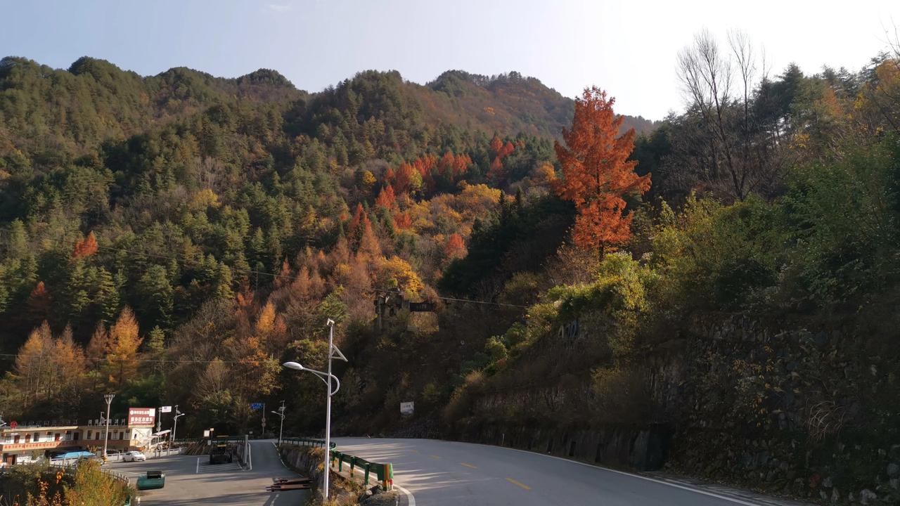 神龙架秋色神农架的金山 神农架风光， 溯江而上沿长江大堤由芜湖骑行至岳阳至石首（