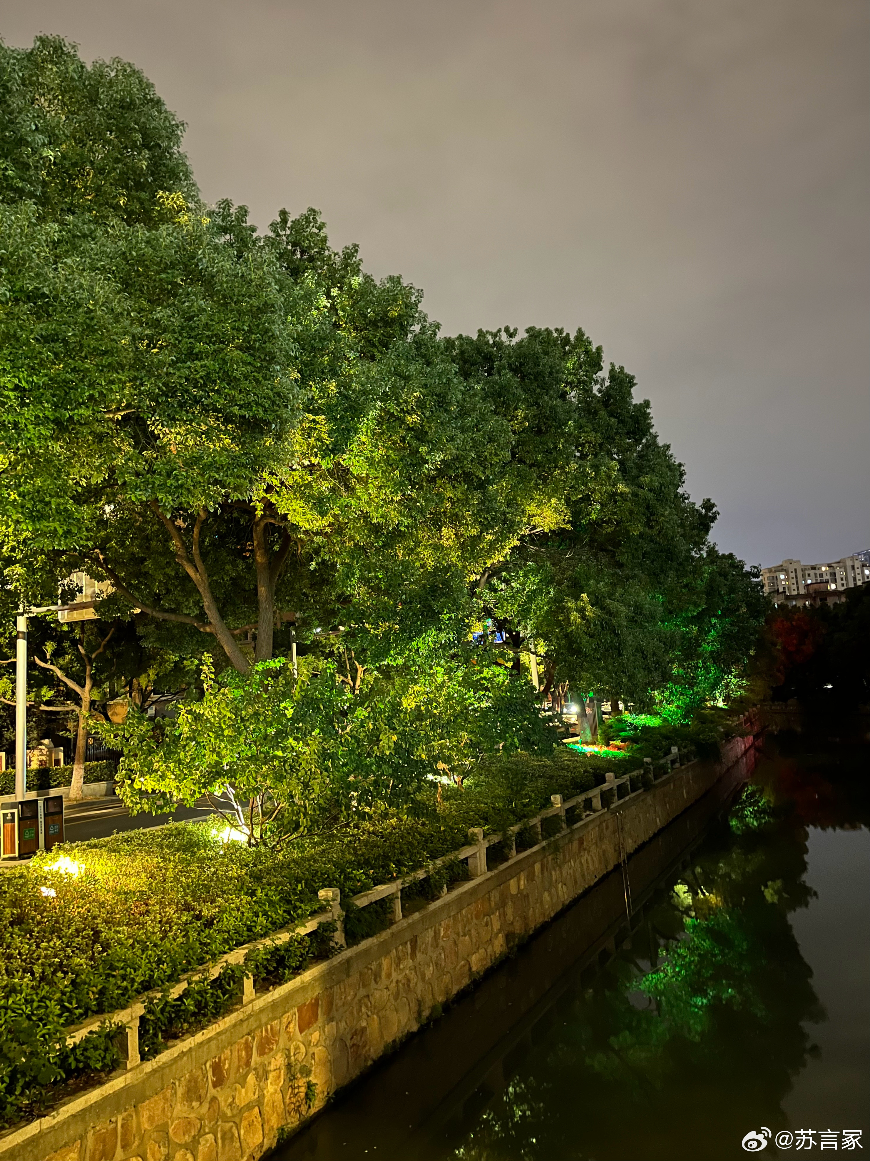 晚风拂岸，树影横波🌳 ​​​