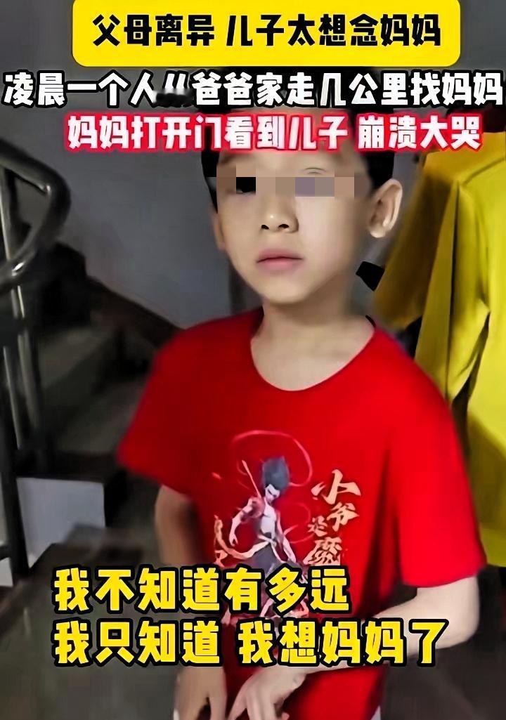 父母离婚了，孩子太想念妈妈，凌晨5点一个人从爸爸家，漆黑的夜、漫长的路，他明明那