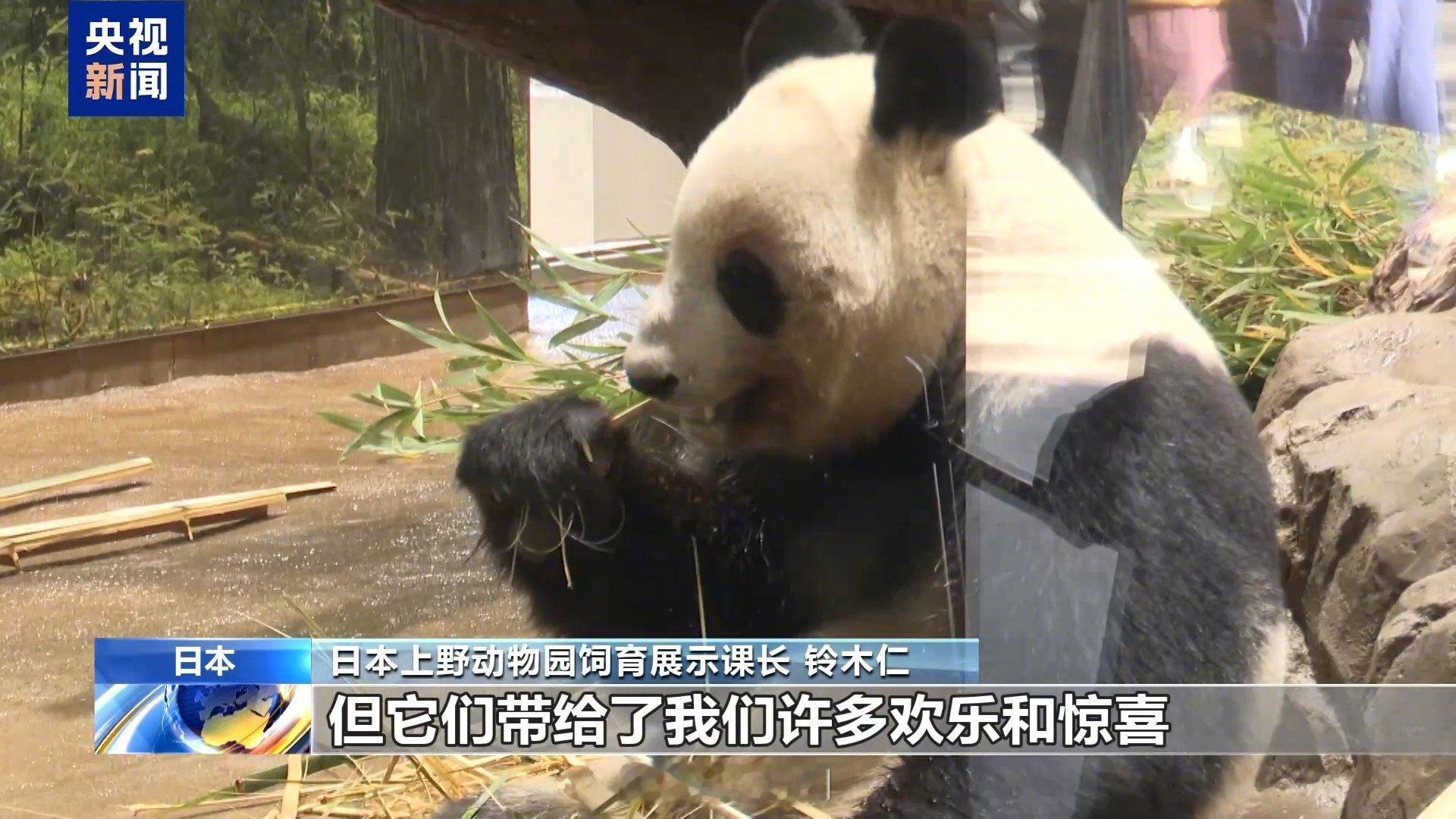 【日本民众不舍送别晓晓和蕾蕾】日本民众盼望还能有大熊猫来日本 因中日双方租借协议