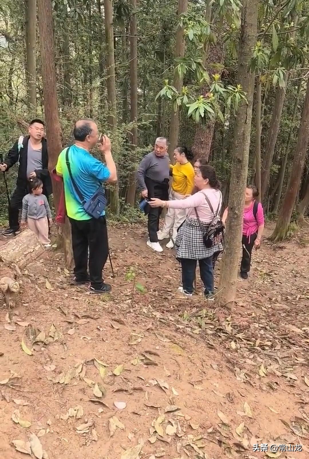 几名老人徒步去爬南昌老四坡，爬到半山腰时，一老太太体力不支，靠在树干上大口大口喘