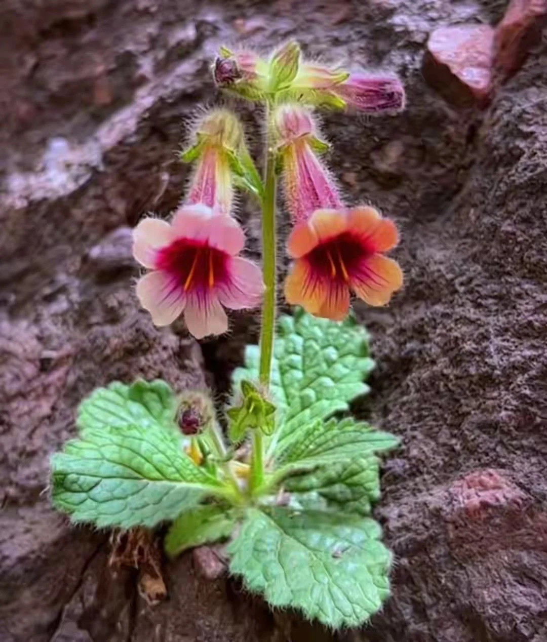 一个人的人格底色可能是注定的，不会因为你对TA好或者不好而改变。 底色...