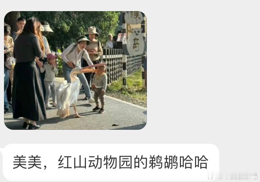 ？？？鹈鹕：还有谁要灌顶！ ​​​