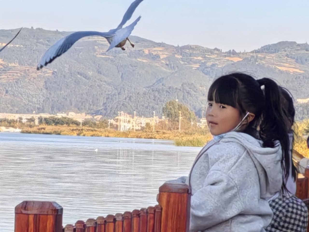 观鸥本是一件浪漫的事，可有些“观鸥的小美女”做法却让人无语。11月9日海埂东码头